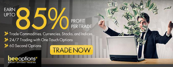 BeeOption Header
